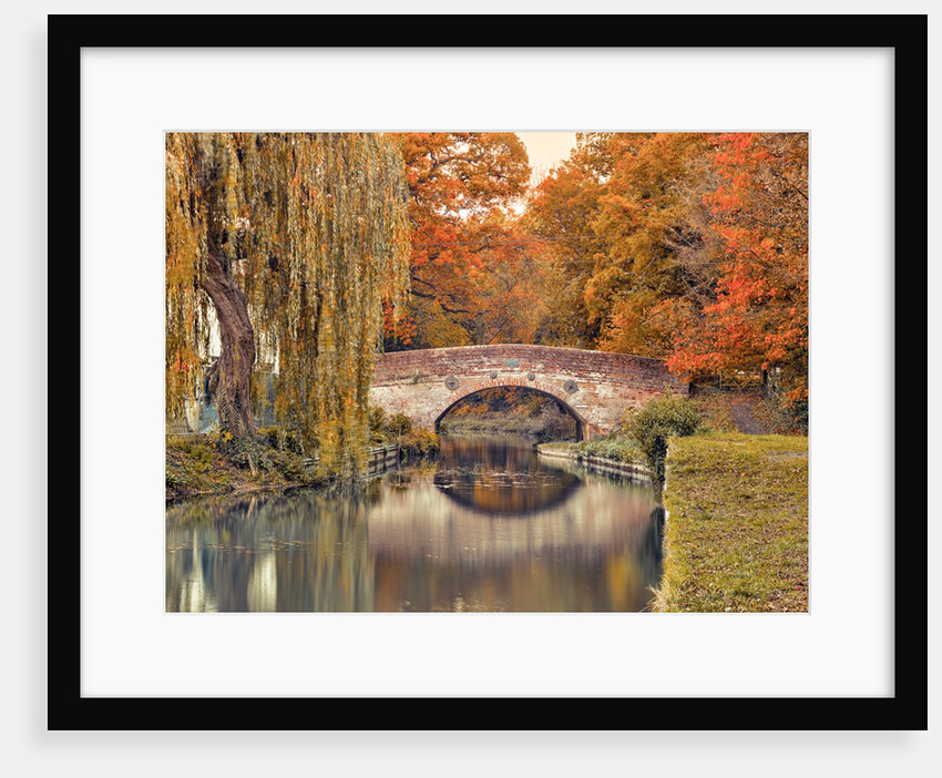 Bridge over a canal by Assaf Frank